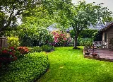 Legacy Landscapes photo 8