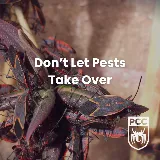 Pest Control Consultants photo 8