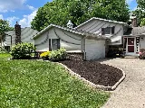 Shepherd's Landscaping photo 3