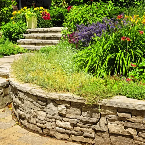 Charleston Masonry Masters in Charleston
