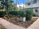Conde Landscaping Services, INC. photo 3