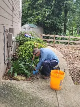 Lookout Pest Control photo 7
