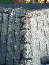 Alpine Roofs photo 7