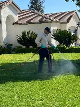 Crazy Ant Pest Control photo 3
