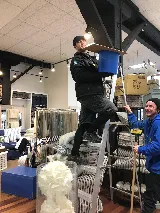 Victoria Pest Control photo 3