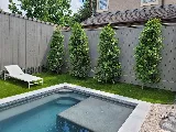 Hogue Landscape Services photo 7