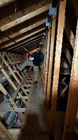 Pointe Pest Control - Beaverton photo 8