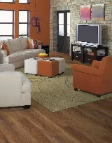 CarpetsPlus of Bloomington photo 3