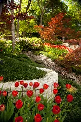 Southern Botanical Landscaping photo 9