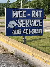 Mice Guys photo 3