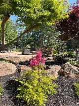 TLC Landscape photo 7