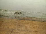 Easy Way Pest Control photo 4