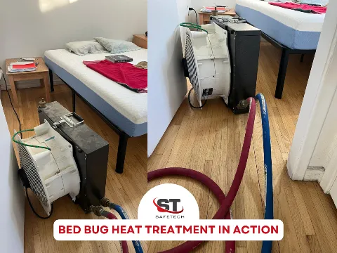 Safetech Pest Control photo 1