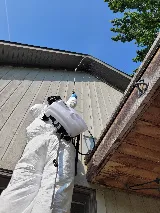 A One Pest Control Inc. photo 5