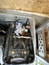 Whitby pest control Inc photo 6