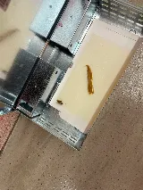 Afco Pest Control