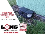 Long Pest Control photo 6