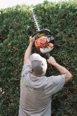 Greenscape Landscaping photo 4