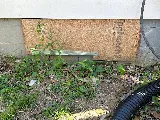 Arrow Exterminators photo 4