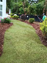 Impact Landscaping photo 7