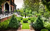 Landscape St. Louis photo 3
