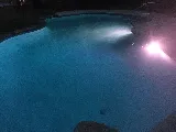 Blue Coast Pool Services photo 7