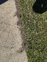 RIDD Pest Control photo 7
