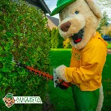 Augusta Lawn Care of Vernon photo 5