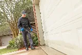 Rentokil