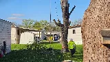 Lawn Mex Inc and Tree Service photo 3