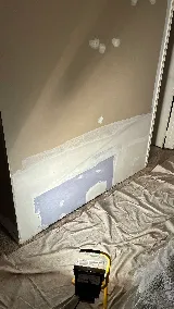 LT Painting photo 2