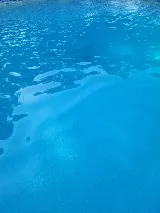 Always Looking Out Pool Cleaning & repair Services photo 6