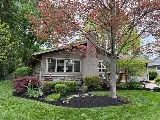 Landscaping 365 photo 2