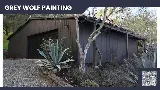 Grey Wolf Painting photo 6