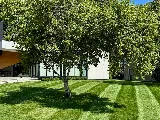 JC Priority Landscaping photo 7