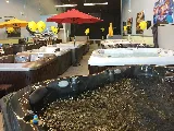 Premium Pool and Spa photo 3