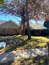 3DL Landscape & Lawn photo 7