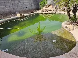 Pristine Pool Service photo 7