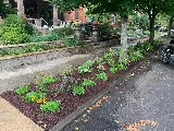 Keny Landscape and Design photo 4