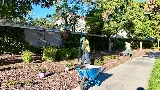 Malagon Legacy Landscaping photo 2