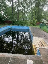 Platinum pools photo 7