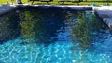 Holt Commercial Pool and Fitness photo 5