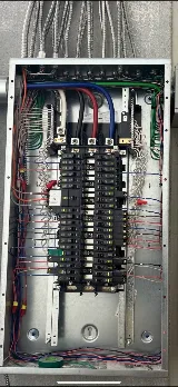 DAVID-ELECTRIC photo 4