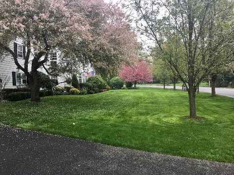 E Landscaping LLC in Yonkers