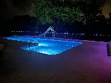 Penguin Pools photo 5
