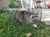 Guardian Preventative Termite & Pest Control photo 6