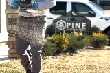 Pine Pest Control photo 5