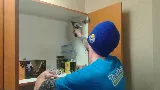 Toodaloo Pest Control photo 3