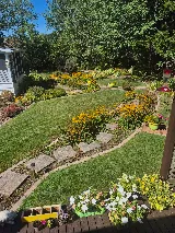 Enviro Masters Lawn Care photo 8