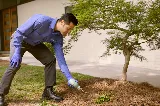 PURCOR Pest Solutions photo 10